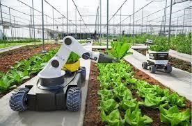 Agriculture technologiques au Mali : enjeux, défis et opportunités